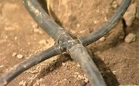 Капельный полив "АкваДуся+60" + 4 подарков